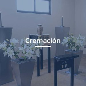 cremacionprincipal